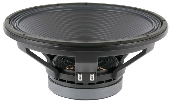 18P1000/FeV2 basss speaker