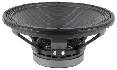 18P1000/FeV2 basss speaker