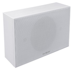 ARS 321 speaker box