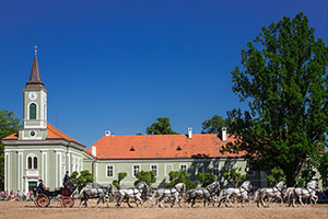 Národní hřebčím (Kladruby nad Labem)