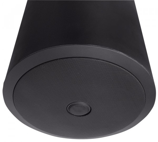 RPT 122Z hanging  speaker